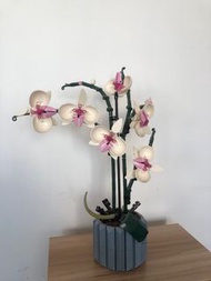 LEGO Orchid Flower Set Botanicals 10311