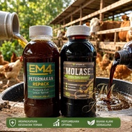 EM4 Livestock Savings Package + Pure Sugarcane Molasses 200ml | Probiotic Activator Fermented Feed f