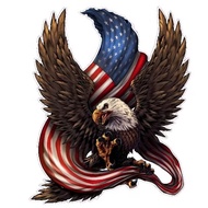 EAGLE PICTURE VYNIL STICKER