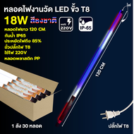 ไฟงานวัดยกลัง18W หลอดไฟสีงานวัด LED T8 ไฟวัด ไฟนีออน led220v แบบยาว นีออนกันน้ำ พร้อมปลั๊ก ไฟประดับต