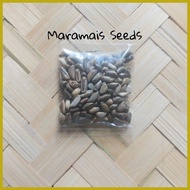 ◺ ❂ ✹ Maramais Forage Grass Seeds