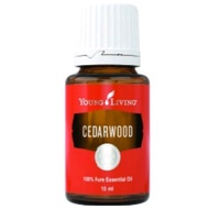 cedarwood YL Mfg 6 2021