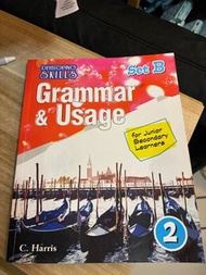 Developing Skills Grammar & Usage