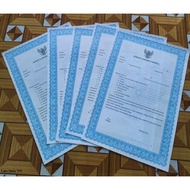 Job Application Letter contains 10 - CV Paper