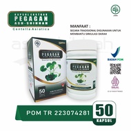 Obat Epilepsi Kejang Kejang Anak Dan Dewasa kapsul pegagan ash-shihhah -Obat Epilepsi - Speech Delay