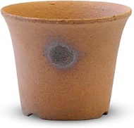 Shigaraki Pottery F23-21 Pottery 4941273327226 Pottery Width 4.1 x Depth 4.1 x Height 3.5 in (10.5 x