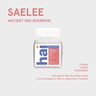 Hai single origin (กาแฟคั่วอ่อน) Saelee Huai Chompoo Red Bourbon (Light roast) Washed process