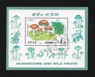 【無限】朝鮮1989年野生菇類郵票小全張(北韓)