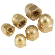 Copper Cap Type Nut Cap Nut Nut Nut Copper Nut/M3/M4/M5-M20