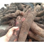 Northwest forest hummus / 2 kg