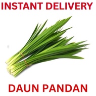 INSTANT DELIVERY - 50g -DAUN PANDAN | PANDAN LEAF