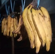 pisang tanduk madu cianjur selatan 1kg