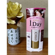 HOYU CIELO 1 DAY GRAY HAIR HIDE