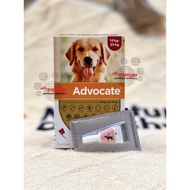 Advocate L for large dog 10-25 kg per tube Medicine for Fleas+Worms elanco