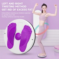 SOARFLY Waist Twister Magnetic Therapy Board Disc Balance Board Upgraded With Smart Counter Home Exe