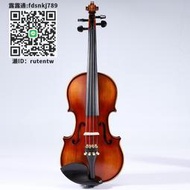 小提琴E300進口實木小提琴初學者手工專業級兒童成人考級演奏歐料樂器