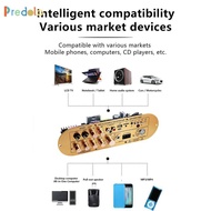 [Predolo] Power Amplifier Board ,Protection Mechanism, Bluetooth, D900 2.1 Audio Receiver, Board for