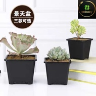 Gardening Plastic Square Succulent Pot Flower Pot Plant Pot