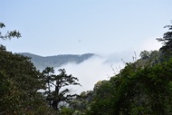 桃園旅遊｜第二人折3000.東眼山.拉拉山深度之旅.山嵐繚繞.原味餐桌.泰雅文化二日
