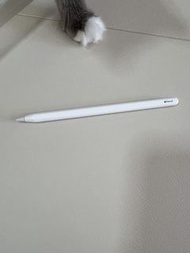 Apple Pencil （第二代）