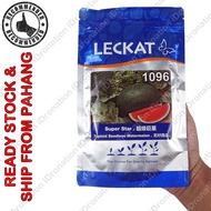 Leckat GWG 1096 Seed Seeds Benih 10G 20G 100G Tembikai Merah Tanpa Biji Super Star Triploid Seedless