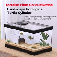 Turtle Jar Ecological Pot Small Brazilian Turtle Amphibious Household Turtle Box Provided with Balco
