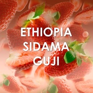 Ethiopia Sidama Guji