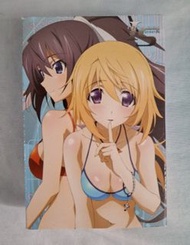 Infinite Stratos 啤牌 IS 正版 Charlotte Dunois