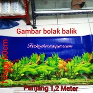 Gambar Aquarium 60cm X 120cm