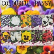 Garden Balsam Impatiens Balsamina Flower Seed Biji Benih Bunga Pokok Keembong
