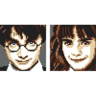 TANSH Lego Harry Potter and Hermonie Mosaic limited collectible 71043