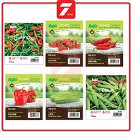 Baba Smart Grow Seed, Grow Fresh, Grow Healthy PART 1