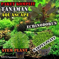 Paket 10 Jenis Tanaman Aquascape ( Stem Karpet Echinodorus )