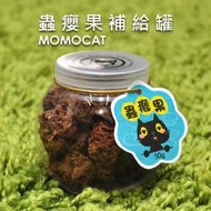 現貨✪蟲癭果補給罐✪木天蓼果實貓咪興奮劑貓草貓的萬應藥蟲嬰果蟲影果果實大顆粒玩具救星【MOMOCAT摸摸貓】E77