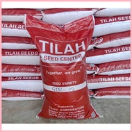 ✁ ◿ TILAH SEEDS BINHING PALAY | RICE SEEDS Palay seeds  Binhi Palay 20kgs