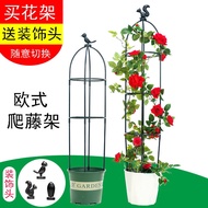 H-Y/ Chinese Rose Flower Stand Gardening Vine Flower Stand Plant Clematis Wisteria Climbing Balcony Support Stand Europe