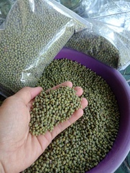 Kacang ijo bubur 1kg
