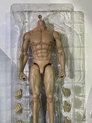 B576 全新 絕版 ACI Toys 1/6 可動上色 肌肉素體 Muscular Body 1/6