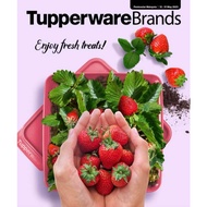 8 Warna: Tupperware Snack & Stack 2.5L Snack n stack Food container multipurpose storage box square 