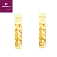 HABIB Oro Italia 916 Yellow Gold Earring GE71410720