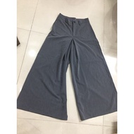 Big shiny pants size 74/76 fits VIP fabric