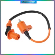 POP External Ignition Coil for GY6 50cc 125cc 150cc 250cc Engine Moped Scooter ATV