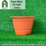 Pasu Baba TN-3469 Cotta