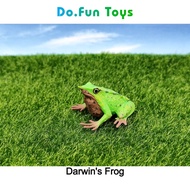 Animal Figurine | DARWIN'S FROG / Darwin FROG Animal Miniature Toy / Rhinoderma Darwinii