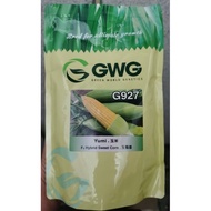 GWG YUMI G927 500G | Benih Jagung Manis | Sweet Corn Seeds.