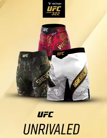 UFC Islam Makhachev,Shevchenko,Topuria,Boxing Training Shorts Men Fitness Running Casual Fashion Sho