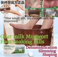 biaozhen Zhang Zhongjing Goat Milk Foot Soaking Pills with Mugwort Instant Sweating and Moisture Reduction