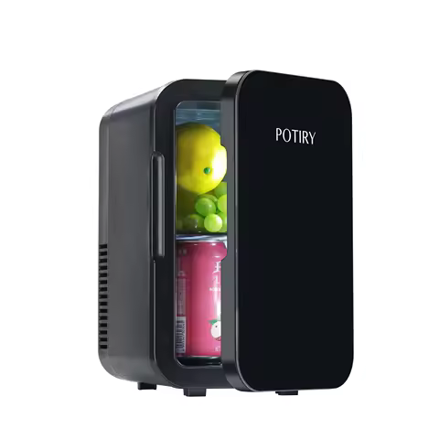 6L 12V 220V 110V Mini Refrigerator Hot and Cold Breast Milk Cosmetics Food Medicines Refrigerated Ca