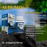 Kapsul ikan gabus/albumin fit