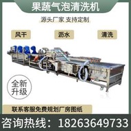 【可開發票】蒜苗橙子沃柑清洗機棗青梅韭菜清洗加工流水線果蔬氣泡清洗機大型